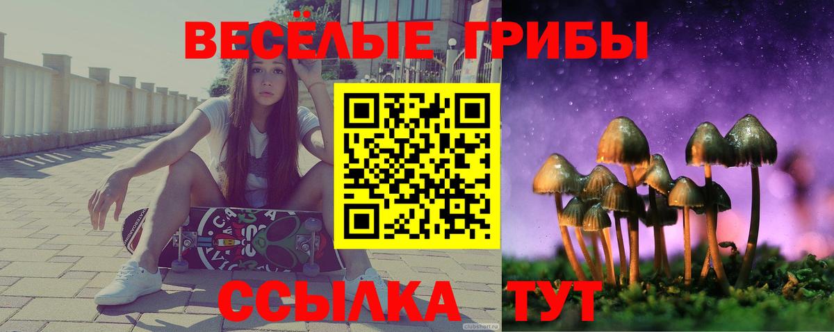 Галлюциногенные грибы Magic Shrooms Котельники